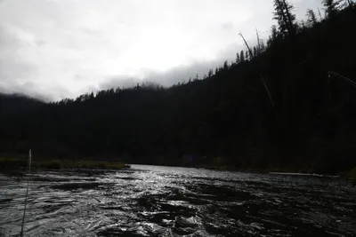 DSC_0183 (Large).JPG